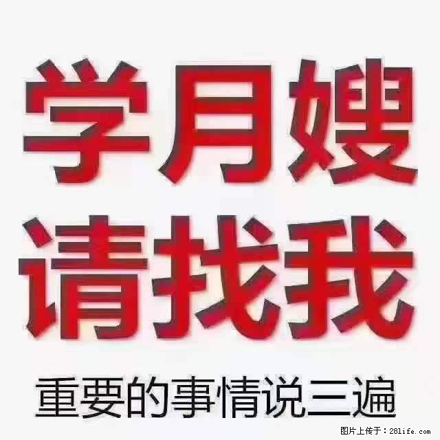 为什么要学习月嫂，育婴师？ - 其他广告 - 广告专区 - 临沧分类信息 - 临沧28生活网 lincang.28life.net