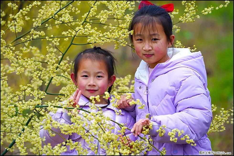 【春天，广西桂林灌阳县向您发出邀请！】米珠山前有片山苍子花在飘香 - 游山玩水 - 临沧生活社区 - 临沧28生活网 lincang.28life.net