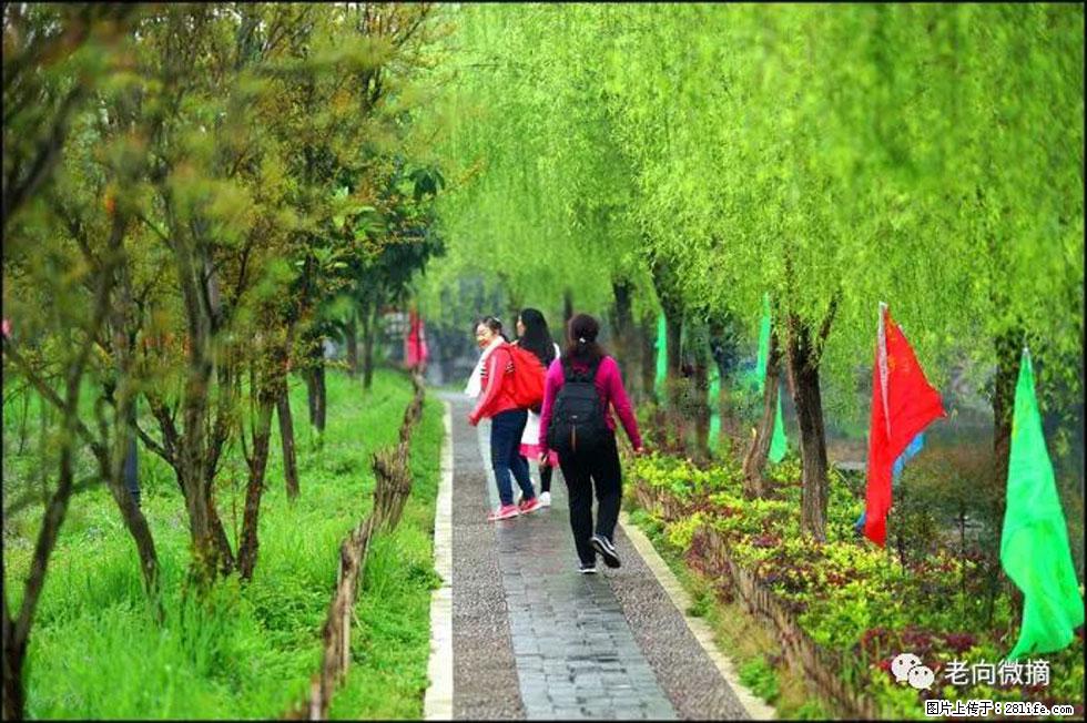 【春天，广西桂林灌阳县向您发出邀请！】江口老街又逢春 - 游山玩水 - 临沧生活社区 - 临沧28生活网 lincang.28life.net