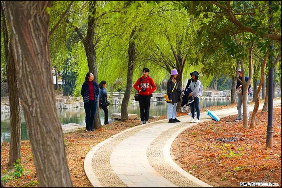 【春天，广西桂林灌阳县向您发出邀请！】江口老街又逢春 - 游山玩水 - 临沧生活社区 - 临沧28生活网 lincang.28life.net