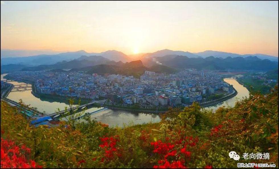 【春天，广西桂林灌阳县向您发出邀请！】登麒麟山，相约映山红 - 游山玩水 - 临沧生活社区 - 临沧28生活网 lincang.28life.net