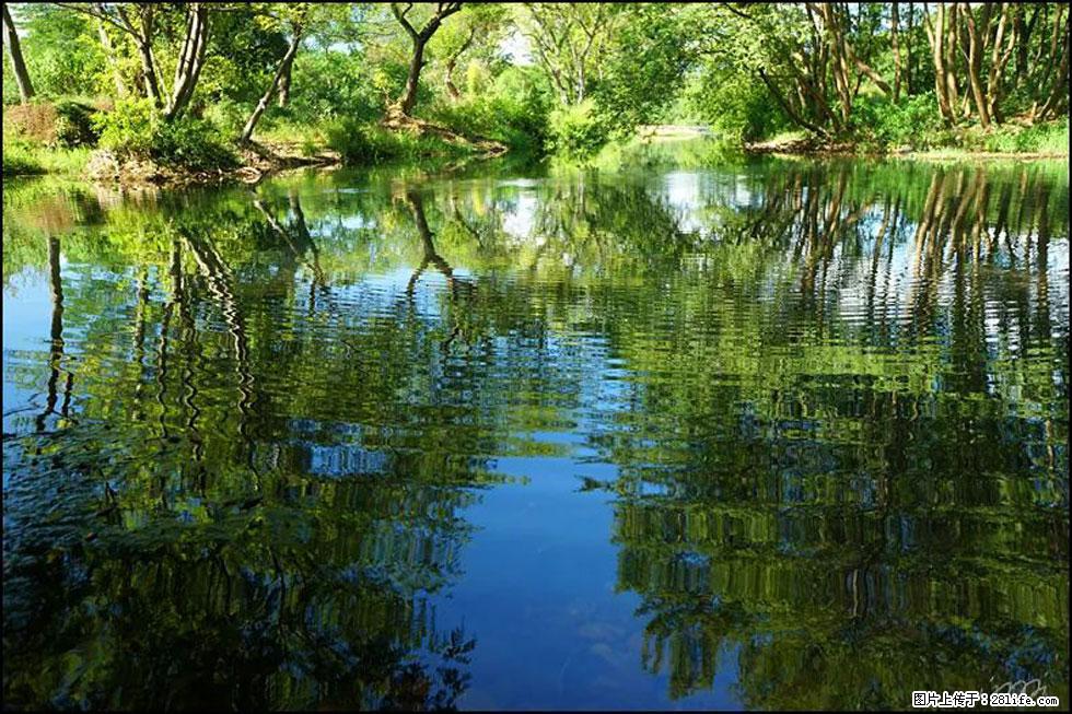 【春天，广西桂林灌阳县向您发出邀请！】熊家寨湿地公园 - 游山玩水 - 临沧生活社区 - 临沧28生活网 lincang.28life.net
