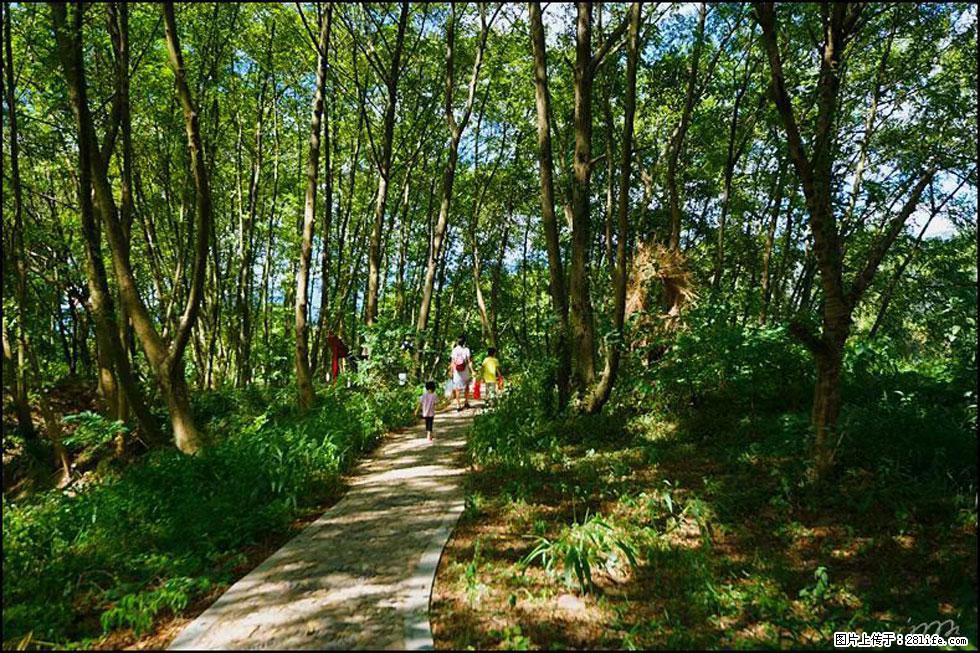 【春天，广西桂林灌阳县向您发出邀请！】熊家寨湿地公园 - 游山玩水 - 临沧生活社区 - 临沧28生活网 lincang.28life.net