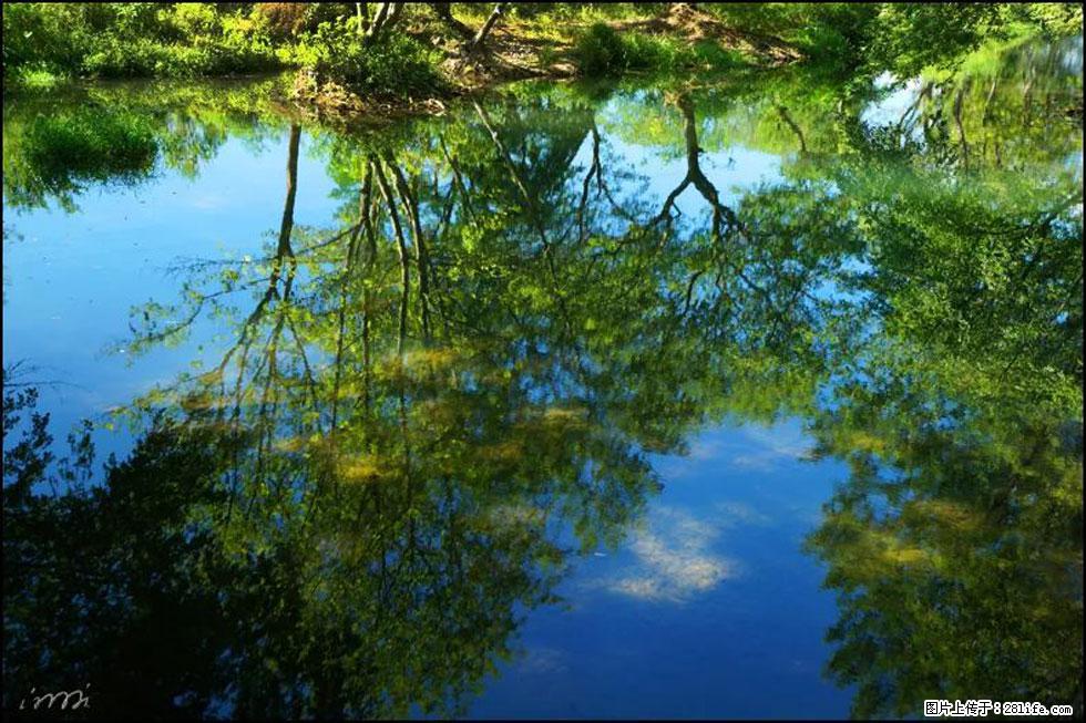 【春天，广西桂林灌阳县向您发出邀请！】熊家寨湿地公园 - 游山玩水 - 临沧生活社区 - 临沧28生活网 lincang.28life.net