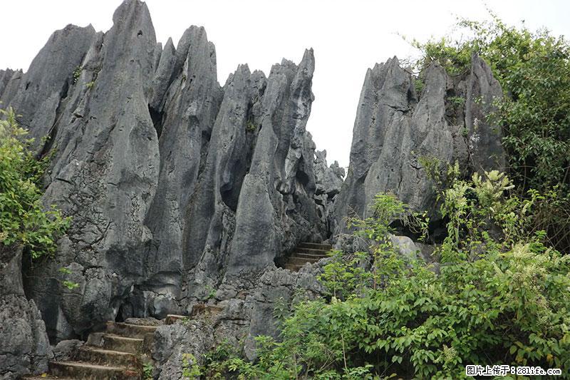 桂林旅游名城景点：灌阳文市石林 - 游山玩水 - 临沧生活社区 - 临沧28生活网 lincang.28life.net
