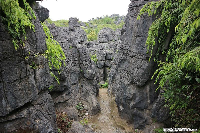 桂林旅游名城景点：灌阳文市石林 - 游山玩水 - 临沧生活社区 - 临沧28生活网 lincang.28life.net
