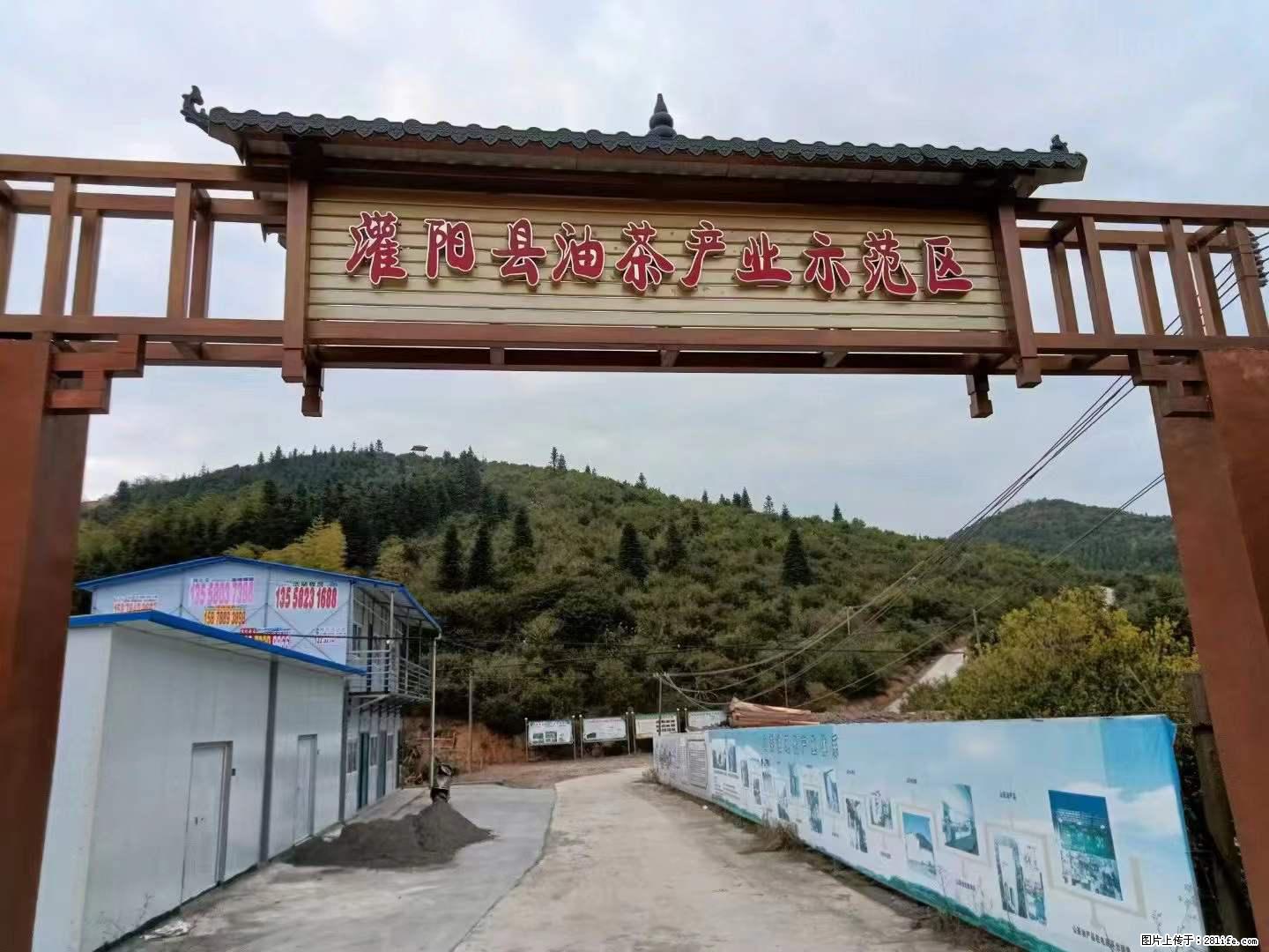 【灌阳县油茶产业示范区】一个有着充实的精神生活的人，对待身外之物自会有一种淡泊的态度 - 美食天地 - 临沧生活社区 - 临沧28生活网 lincang.28life.net