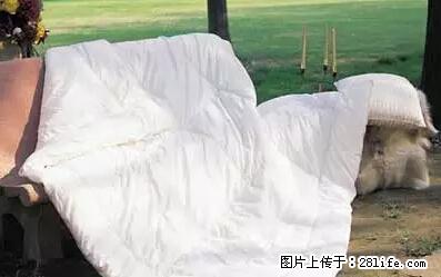 被子有异味?只要这样做,比晒太阳还强100倍! - 家居生活 - 临沧生活社区 - 临沧28生活网 lincang.28life.net