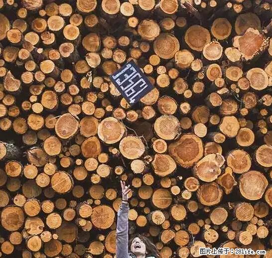 辞掉工作周游世界？现在他们在洗厕所…… - 游山玩水 - 临沧生活社区 - 临沧28生活网 lincang.28life.net
