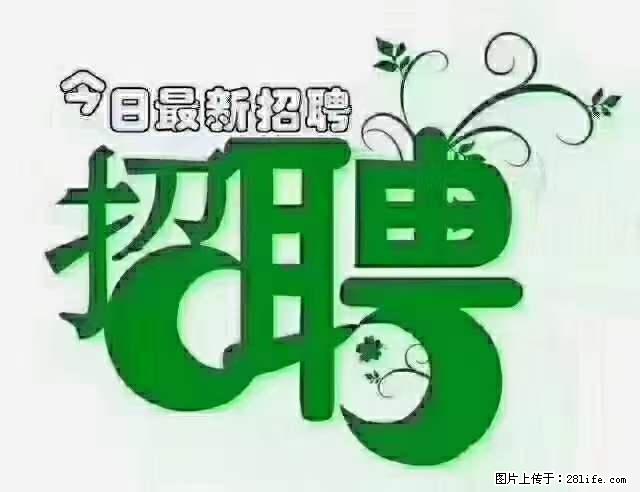 上海隔离酒店招人：55岁以下 男女不限 - 职场交流 - 临沧生活社区 - 临沧28生活网 lincang.28life.net