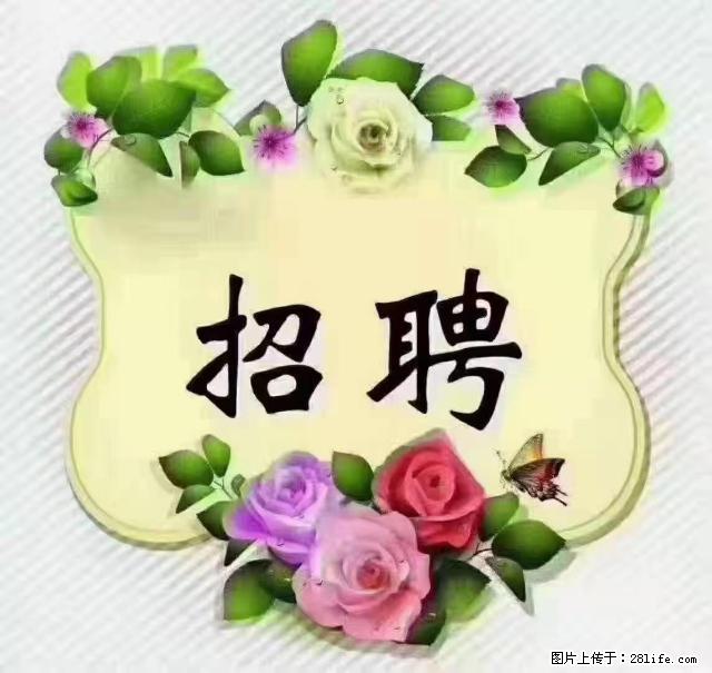 【招聘】住家育儿嫂，上户日期：4月4日，工作地址：上海 黄浦区 - 职场交流 - 临沧生活社区 - 临沧28生活网 lincang.28life.net