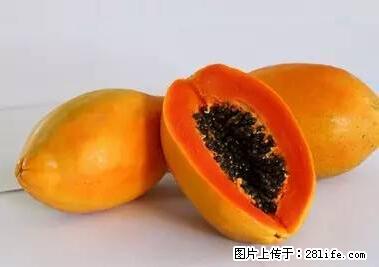晕车、脚气、牙齿变黄、皮肤粗糙？学会这些三分钟搞定！ - 临沧生活资讯 - 临沧28生活网 lincang.28life.net