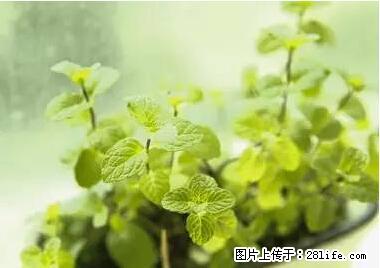 晕车、脚气、牙齿变黄、皮肤粗糙？学会这些三分钟搞定！ - 临沧生活资讯 - 临沧28生活网 lincang.28life.net