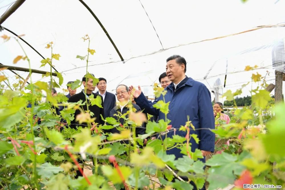 习近平赴广西考察调研 - 临沧生活资讯 - 临沧28生活网 lincang.28life.net