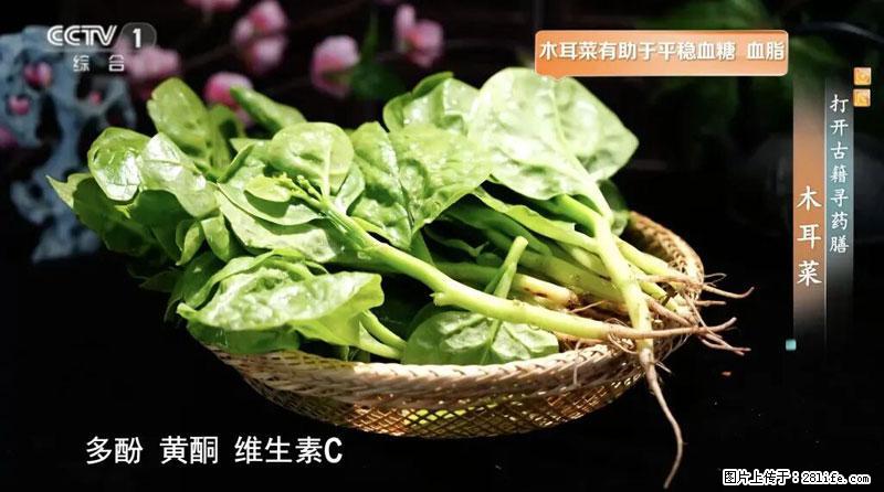 比牛奶补钙还厉害！凉血解毒、稳血糖...这菜冬天必吃，很多人却当草 - 临沧生活资讯 - 临沧28生活网 lincang.28life.net