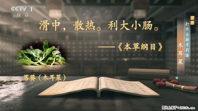 比牛奶补钙还厉害！凉血解毒、稳血糖...这菜冬天必吃，很多人却当草 - 临沧生活资讯 - 临沧28生活网 lincang.28life.net